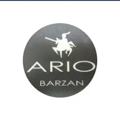فروشگاه-کیف-و-کفش-آریوبرزن-اصفهان