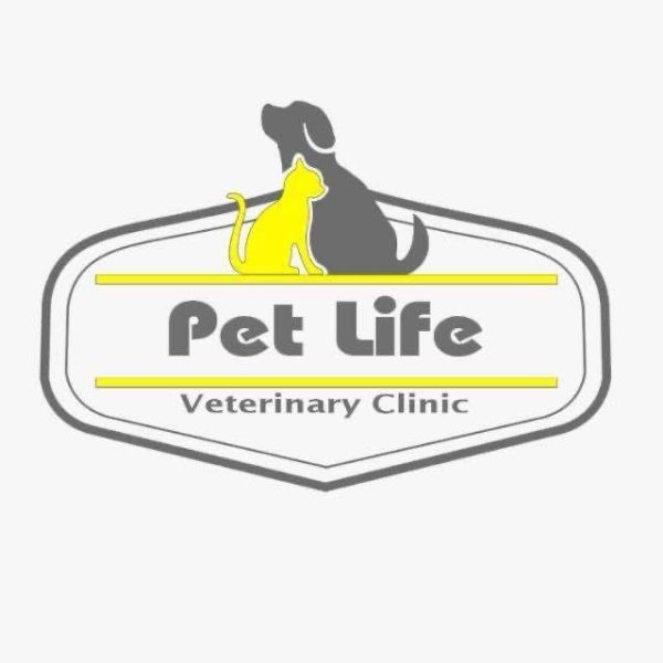 574099801_18049063646675563_1974643154804984046_n